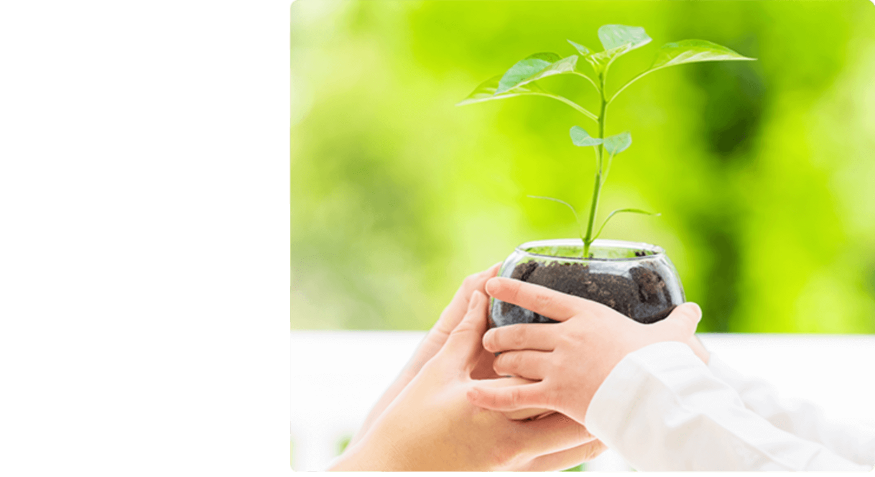 JGAP認証を通じて、「持続可能な社会」へ